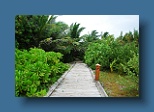 Helengeli 047